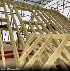 75 X 200mm C24 Graded And Treated Joistmate Xtra Timber -Timber Flooring Shop c24 joist roof structure 2 1